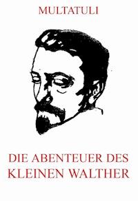 Die Abenteuer des kleinen Walther - Multatuli - ebook