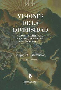 Visiones de la diversidad - Miguel A. Bartolomé - ebook