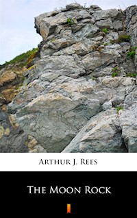 The Moon Rock - Arthur J. Rees - ebook