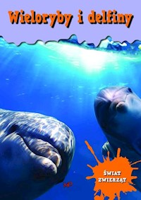 Świat zwierząt Wieloryby i delfiny -  - książka