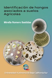 Identificación de hongos asociados a suelos agrícolas - Mirella Romero Bastidas - ebook