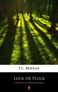 Luck or Pluck. A Story of the Northern Forests - T.C. Bridges - ebook