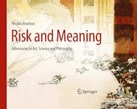 Risk and Meaning - Nicolas Bouleau - ebook