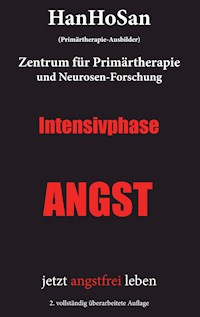 Intensivphase ANGST - HanHo San - ebook