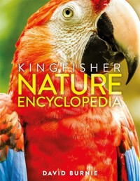 The Kingfisher Nature Encyclopedia - Burnie David - książka