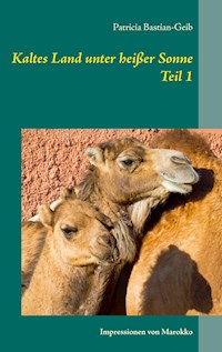 Kaltes Land unter heißer Sonne (Teil 1) - Patricia Bastian-Geib - ebook