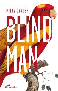 Blind Man - Mitja Čander - ebook