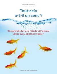 Tout cela a-t-il un sens ? - Opticon Tessour - ebook
