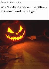 Wie Sie die Gefahren des Alltags erkennen und beseitigen - Antonio Rudolphios - ebook