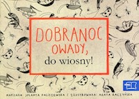 Odkrywam czytanie 1 Część 9 Dobranoc owady, do wiosny! - Faliszewska Jolanta - książka