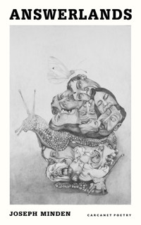 Answerlands - Joseph Minden - ebook