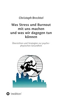 Was Stress und Burnout mit uns machen und was wir dagegen tun können - Christoph Brechtel - ebook