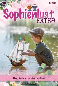 Dominik erbt ein Schloss - Vandenberg Patricia - ebook