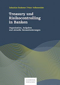 Treasury und Risikocontrolling in Banken - Sebastian Bodemer - ebook