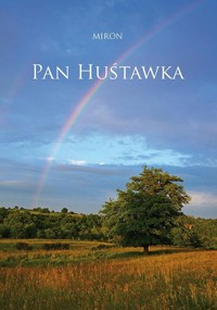 Pan Huśtawka - Miron - książka
