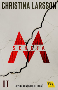 Sekcja M: II - Christina Larsson  - ebook + audiobook