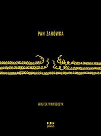 Pan Żarówka - Wawszczyk Wojtek - książka