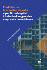 Medición de la creación de valor a partir del capital intelectual en grandes empresas colombianas - Patricia González González - ebook