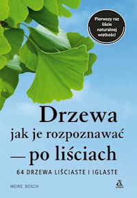 Drzewa Jak je rozpoznawać po liściach - Bosch Meike - książka