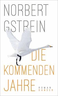 Die kommenden Jahre - Gstrein Norbert - ebook