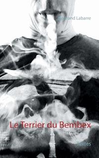 Le Terrier du Bembex - Bertrand Labarre - ebook