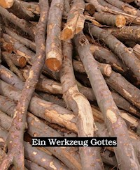 Ein Werkzeug Gottes - Uwe Plesotzky - ebook