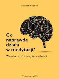 Co naprawdę działa w medytacji? Wspólny rdzeń i specyfika medytacji - Radoń Stanisław - ebook