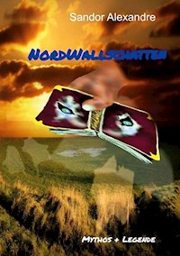 NordWallschatten - Sándor Alexandre - ebook