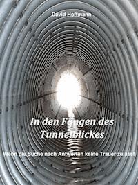 In den Fängen des Tunnelblickes - Hoffmann David - ebook