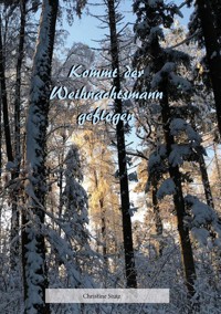 Kommt der Weihnachtsmann geflogen - Christine Stutz - ebook