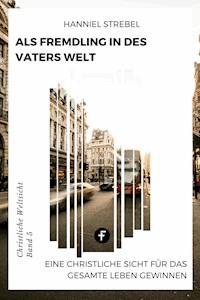 Als Fremdling in der Welt des Vaters - Hanniel Strebel - ebook