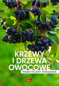 Krzewy i drzewa owocowe Poradnik praktyczny -  - książka