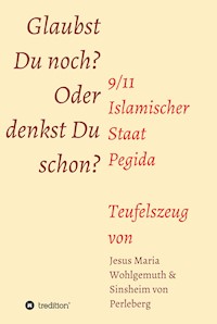 Glaubst Du noch oder denkst Du schon? - Sinsheim von Perleberg - ebook