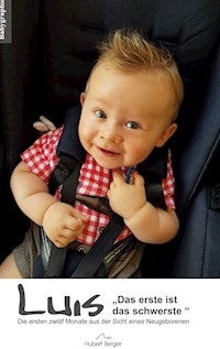 Luis Das erste ist das schwerste - Hubert Berger - ebook