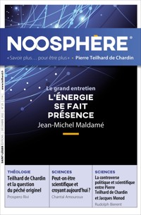 Noosphère - Numéro 20 - Association des Amis de Pierre Teilhard de Chardin - ebook