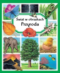 Świat w obrazkach. Przyroda - Marie-Christine Lemayeur (ilustr.), Emilie Beaumont, Bernard Alunni (ilustr.), Marie-Renee Guilloret - książka
