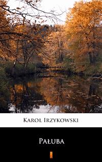 Pałuba - Karol Irzykowski - ebook