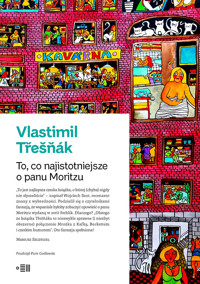 To, co najważniejsze o panu Moritzu - Vlastimil Třešňák - ebook