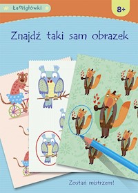 Łamigłówki Znajdź taki sam obrazek -  - książka