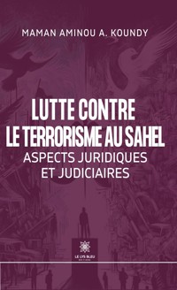 Lutte contre le terrorisme au Sahel - Maman Aminou A. Koundy - ebook