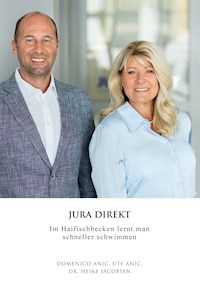 Jura Direkt - Domenico Anic - ebook