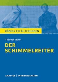Der Schimmelreiter von Theodor Storm. - Theodor  Storm - ebook