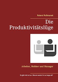 Die Produktivitätslüge - Roland Roßmanek - ebook