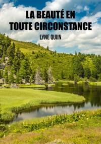 La beauté en toute circonstance - Lyne Quiin - ebook