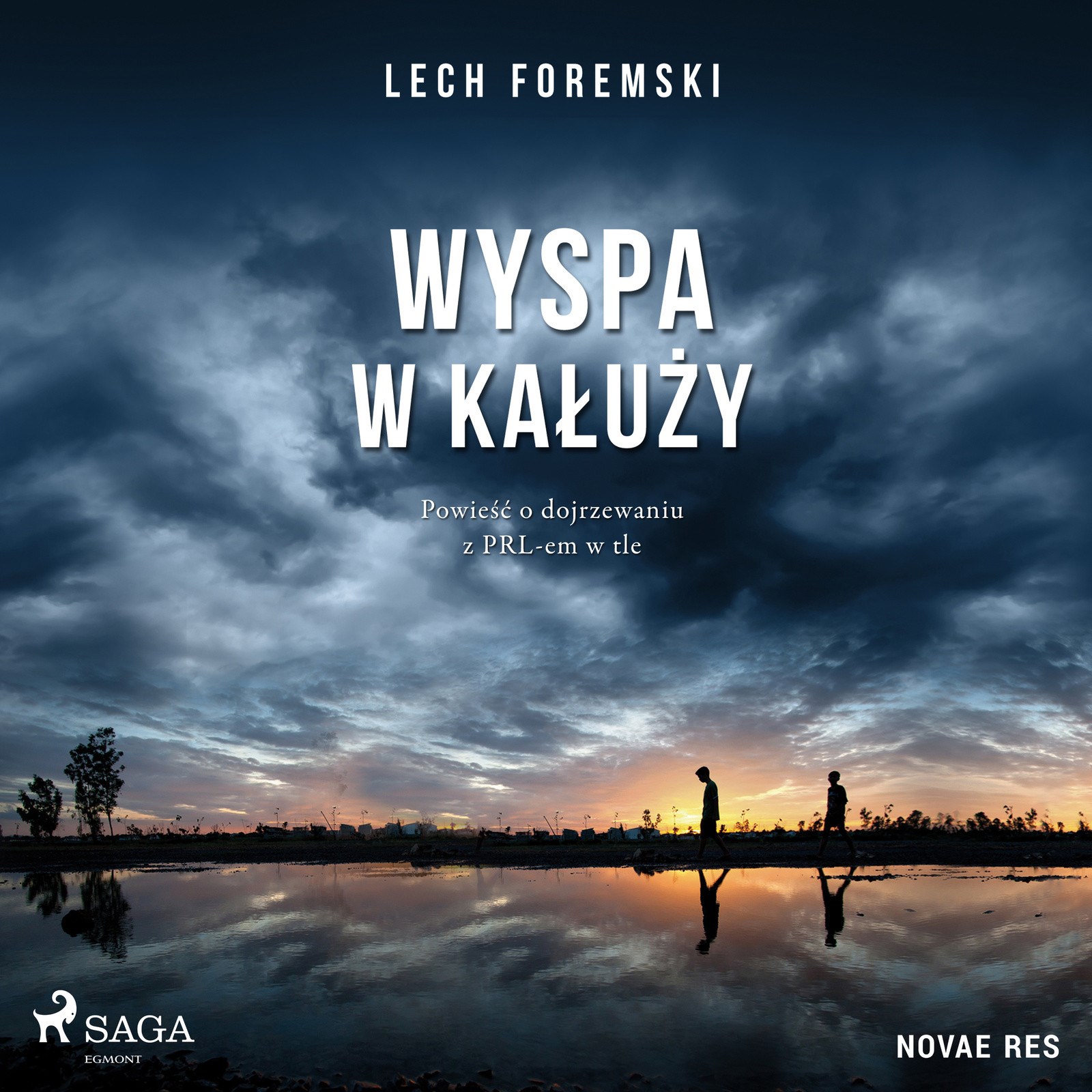 Wyspa w kałuży