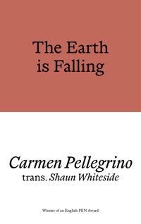 The Earth is Falling - Carmen Pellegrino - ebook