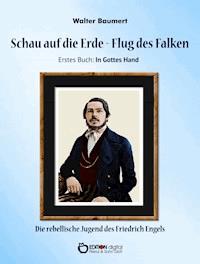 Schau auf die Erde – Der Flug des Falken. Erstes Buch: In Gottes Hand - Walter Baumert - ebook