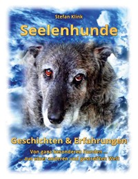 Seelenhunde - Stefan Klink - ebook