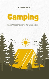 Camping - Fabienne P. - ebook