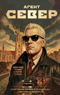 Агент Север - СЕРГЕЙ ЖУРАВЛЁВ - ebook